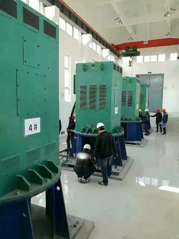 新野某污水处理厂使用我厂的立式高压电机安装现场安装尺寸